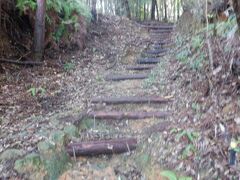 車でも登りにくい急坂が１ｋｍ続き真っ縦、土佐の関所寺と呼ばれています。途中からは舗装は無くなり草や落ち葉で包まれた階段となります。