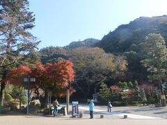 １時間ほど「大河ドラマ館」を見た後、岐阜公園へ。
まだ紅葉が残っていました。
岐阜場は山の上にあります。