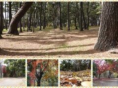 千本浜公園に。
ここまで来ると車を停めた駐車場までもう少しの筈？(笑)