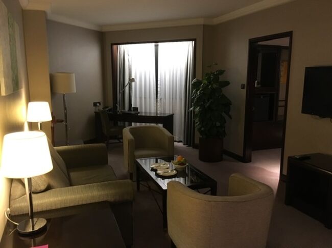 小1時間程周囲を散策して、ホテルに戻り寛ぎます。