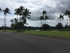 ワイロアリバー州立公園に車を移動します。