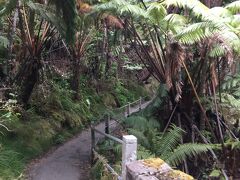 更に1時間ちょっと走ってハワイ火山国立公園に来ました。