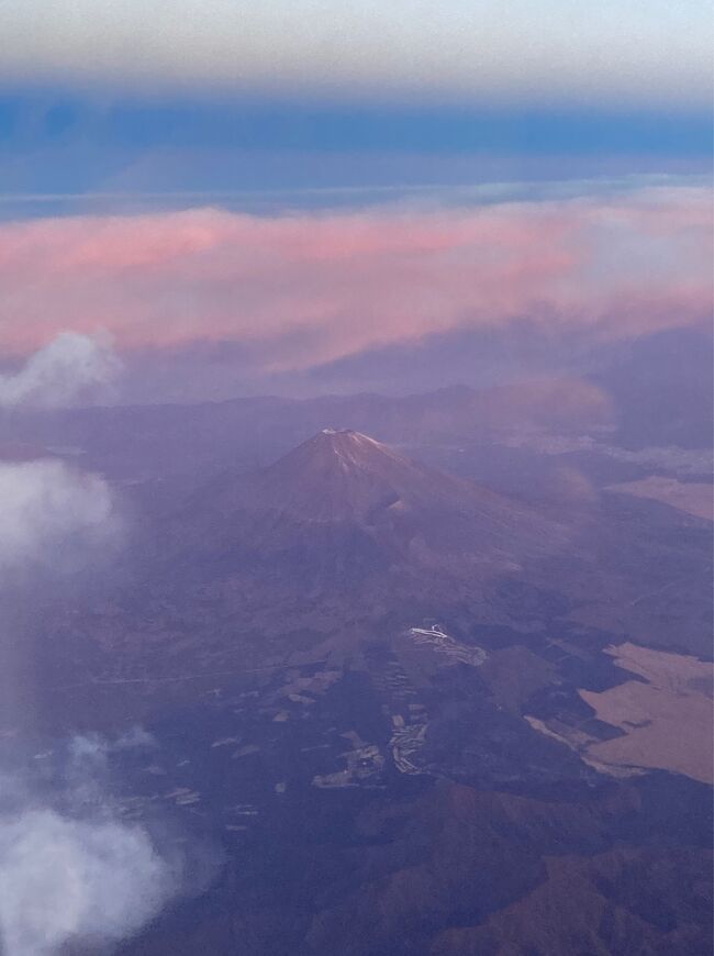 いつ離陸したのかも覚えていないですが、朝焼けの富士山の写真だけは撮ってました(^ ^;)<br />あとは、可能な限り寝るだけ(-_-)zzz