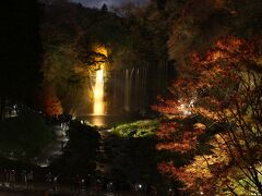 最後に立ち寄ったのは、富士宮の白糸の滝のライトアップ。
手前に紅葉も。