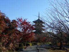 西本願寺を後にして私たちは市内バスで東寺に向かいます。
五重塔が見えてきました。