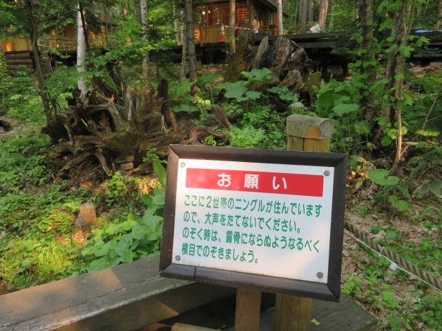 好きです北海道 3 北の国から富良野 唯我独尊 新富良野プリンスホテルとニングルテラス ディナー 富良野 北海道 の旅行記 ブログ By Happinさん フォートラベル 好きです北海道 3 北の国から富良野 唯我独尊 新富良野プリンスホテルとニングルテラス ディナー 富良野 北海道 の旅行記 ブログ By Happinさん フォートラベル