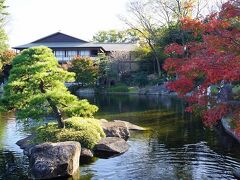 名古屋城からバスに乗って徳川園へ。紅葉真っ盛りと思いきや、まだ中途半端な赤くなり方。
朝早くから動き回りすぎたので、16時過ぎだがホテルに向かう。今日のホテルは金山駅近くの名鉄ホテル。