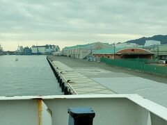 つづいて、駿河湾フェリーに乗りました。土肥までですが、今回は下車しない周遊コースにしました。今度は土肥も行ってみたいと思います。