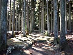 波治加麻神社 (杉の森 パワースポット)