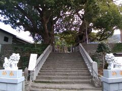 こちらが、山王神社。
入り口には、大楠があります。
この楠も被爆し、枯れ木同然となりましたが、
奇跡的に新芽が芽吹いたとのことです。