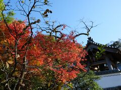 光明禅寺は開いてなく外から紅葉を！