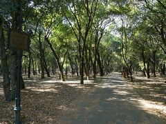 　29日は、ホテルから歩いて10分のチャプルテペク公園(Chapultepec)に来ました。
広い公園の中は密とは無縁。残念ながら動物園もお城も閉鎖です。