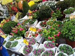 左に曲がるとシンゲルの花市に。
チューリップが破格のお値段で売っています。