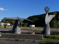 次は、那智勝浦町の隣の太地町へ。
捕鯨で有名な町で、太地くじら浜公園のモニュメントはクジラのしっぽ♪
