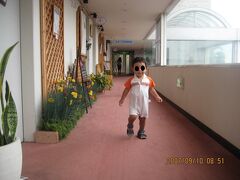 2007年、こちらが湘南ストリート。
まだあるのでしょうか。
ショップやスパが並ぶエリアでした。オープン前でしたが…。