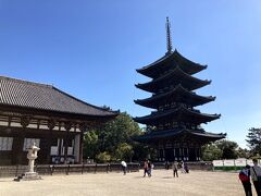 興福寺五重塔。
青空だと、いい感じ。