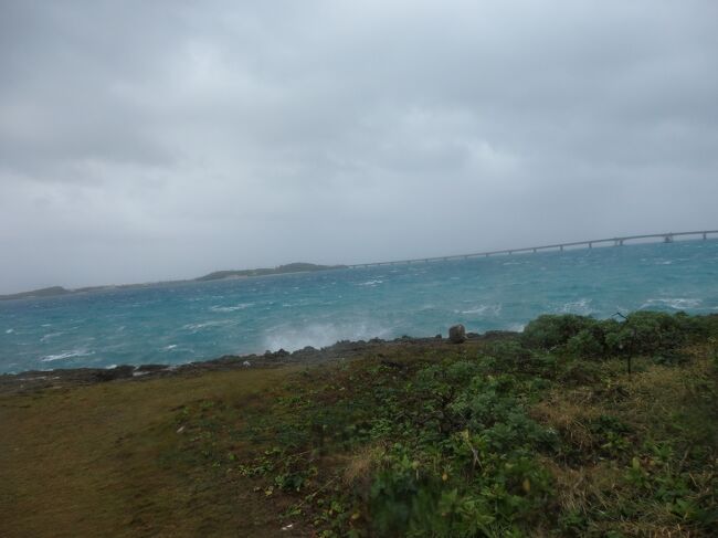 海の大荒れです....