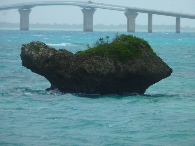 亀に似た岩<br />だそうです。