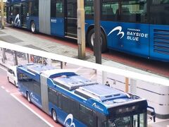 コレだ、コレ
横浜市交通局肝入りの2両連結バス『Bayside Blue』

横浜駅東口－山下埠頭間を、パシフィコ、大桟橋、山下公園、中華街、赤レンガなどを経由しつつ結ぶ。