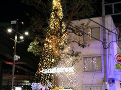 元町に向かう途中、iキャナルストリート
入口に大きなツリー

例年は木にイルミネーションを施していたが、今年は木を覆うようにワイヤーを張っての飾り付け
