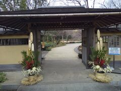国営昭和記念公園 日本庭園入り口の角松
