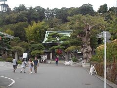 鎌倉大仏（高徳寺）から歩いて５～６分ほどで長谷寺（長谷観音）にやってきました。