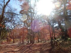 紅葉の名所
もみじ公園へ
ここはほとんど終わっていた。
