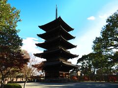 東寺

やっと近くに来れました。
総高約55メートルの五重の塔。国宝です。