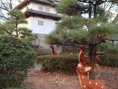 まずは歩いて高崎城址まで行きましょう！
なぜか鹿がいますが・・・