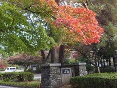 駅前の道をまっすぐ。
多磨霊園の門に到着。
ここの紅葉がきれいなんです。