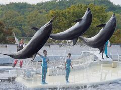 3頭揃っての連続ジャンプでフィナーレ！