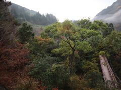 いよいよ最終日。今回の旅初めての雨ですね。雨に濡れる土佐山もそれはそれで風情があったいいものです。