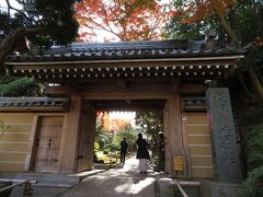 竹の庭で有名な報国寺へ。竹の庭は拝観料（300円）が必要だが、竹の庭以外の境内は無料で拝観できる。