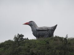 辺戸岬からやんばる展望台へ。
階段が多いので上まで登らず。
下から　変なの。