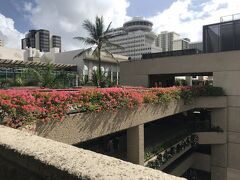 ロイヤルハワイアンセンターへ。ここのフードコートで昼食。10ドル以上の買い物または飲食で、最初の２時間の駐車料金が無料、その後は1時間ごとに2ドルとなるのでお得でした。さらに買い物と飲食の両方のレシートがあると、5時間で8ドル分の駐車料金がもらえます（レシートをサービスセンターに持って行きました）。