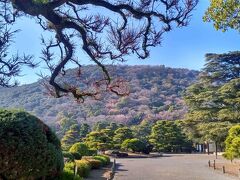 おぉ～！
広い！

ガイドブックで見るより、すごく広かったです。


そして、誰もいないｗ

ゼロではないですが、まわっている間、すれ違うことはほぼなかったです。