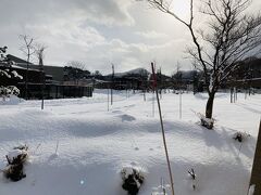 三が日最後の今日、おせちと酒で膨らんだお腹を少しでも凹ませるため、前日の大雪を掻き分けて円山動物園にやってきました。
やっぱりかなり積もってるなー。