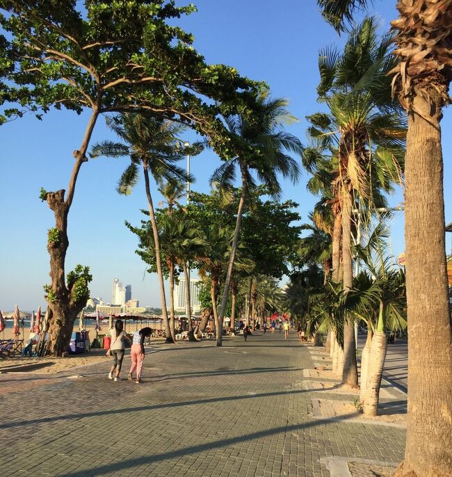 ビーチの歩道には朝夕は散歩する人は少数ですがおります。