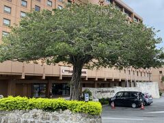 沖縄ハーバービューホテルへ。