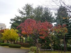 街中にある青い森公園。
結構広い。
紅葉が綺麗。