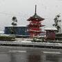 北近畿温泉巡り旅行のはずが大雪で巡れず