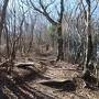 房総半島＆富士山周辺の山旅♪長者ヶ岳・鋸山・烏場山・身延山・白鳥山