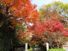 杉本寺へ。このお寺は天平6年（734年）に創建された鎌倉最古の寺といわれている。