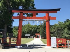 久しぶりに上賀茂神社に参拝です。