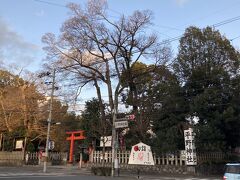 平野神社の向かいに昔からあるフルーツパーラーでお茶します。