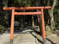 鳥居をくぐって登ります

妊婦さんにはキツイような気もする