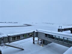 1月1日　元旦の旭川空港です
雪はそれなりにふっており、
空も暗い感じです…