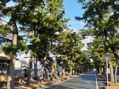 湖西市の新居関跡を訪れてみました。

その手前にあった旧東海道松並木。