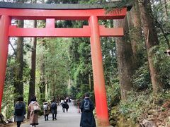 以前のっこさんの旅行記で見た箱根神社を思い出し、行ってみることに。

箱根町港から箱根神社前までバスで行き、そこから歩いて1０分くらいで到着です。