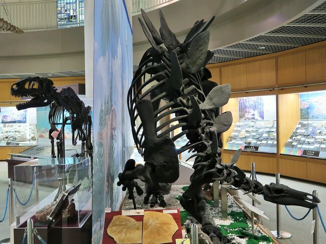 仙台21 東北大学理学部 自然史標本館a 化石 ステゴサウルス 恐竜の卵 古生物の跡 仙台 宮城県 の旅行記 ブログ By マキタン２さん フォートラベル